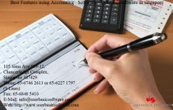 Best Features using Accounting Software – User Basic Software in singapore