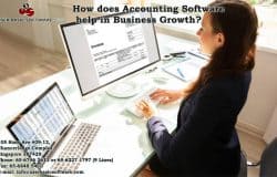 How does Accounting Software help in Business Growth