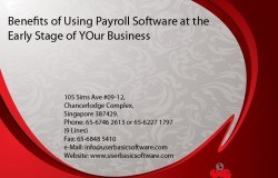 Benefits of Using Payroll Software at the Early Stage of YOur Business 800x600