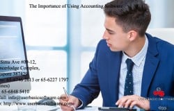 The Importance of Using Accounting Software - Copy