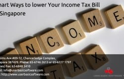 Smart Ways to lower Your Income Tax Bill in Singapore