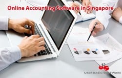 Online Accounting Software in Singapore