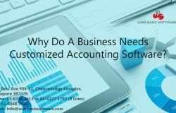 Why Do A Business Needs Customized Accounting Software?