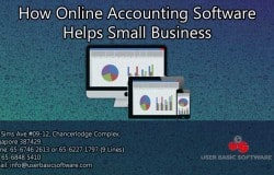 How Online Accounting Software Helps Small Business